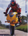 SV650-09-10t.JPG